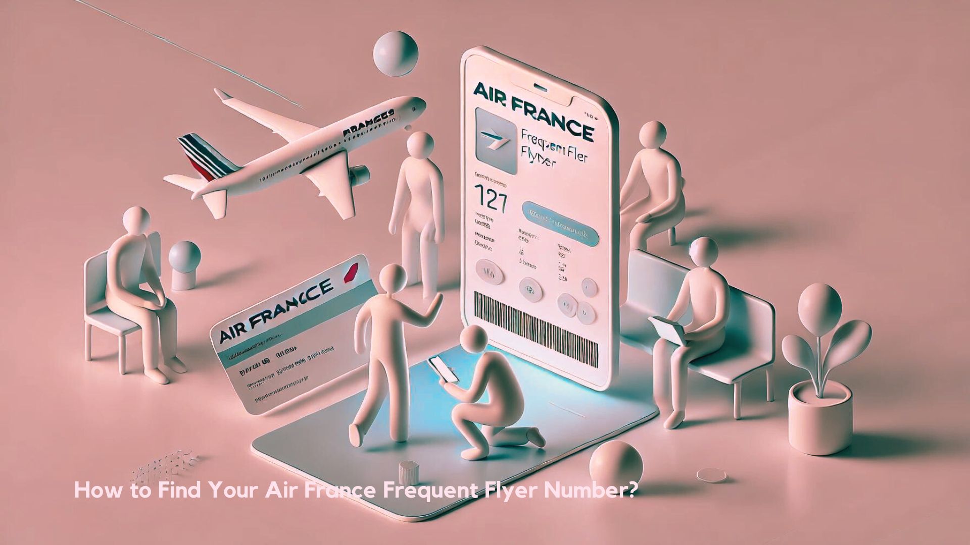 Air France Frequent Flyer Number - Mem