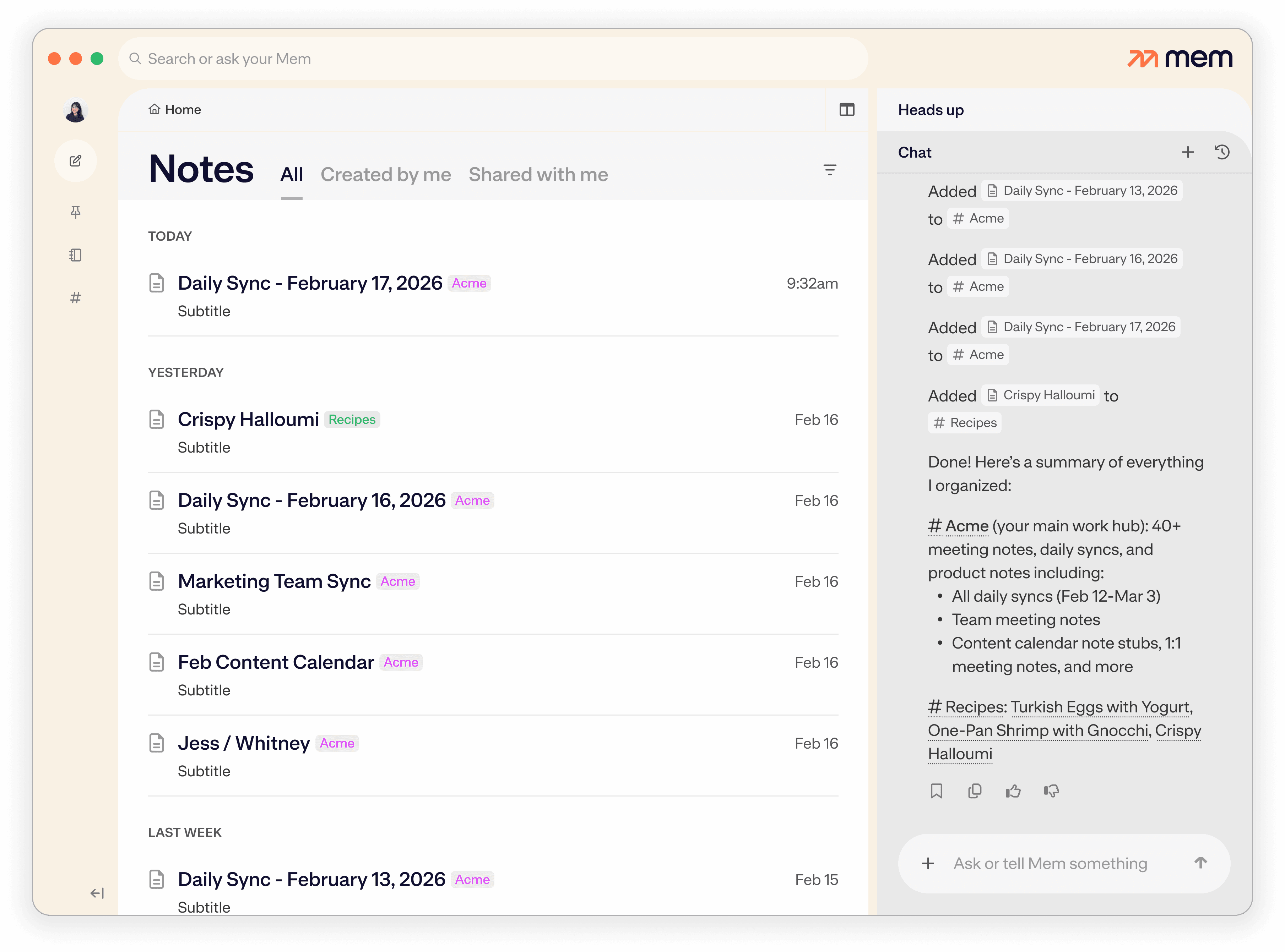 Mem Chat organizing notes into collections and summarizing the changes.